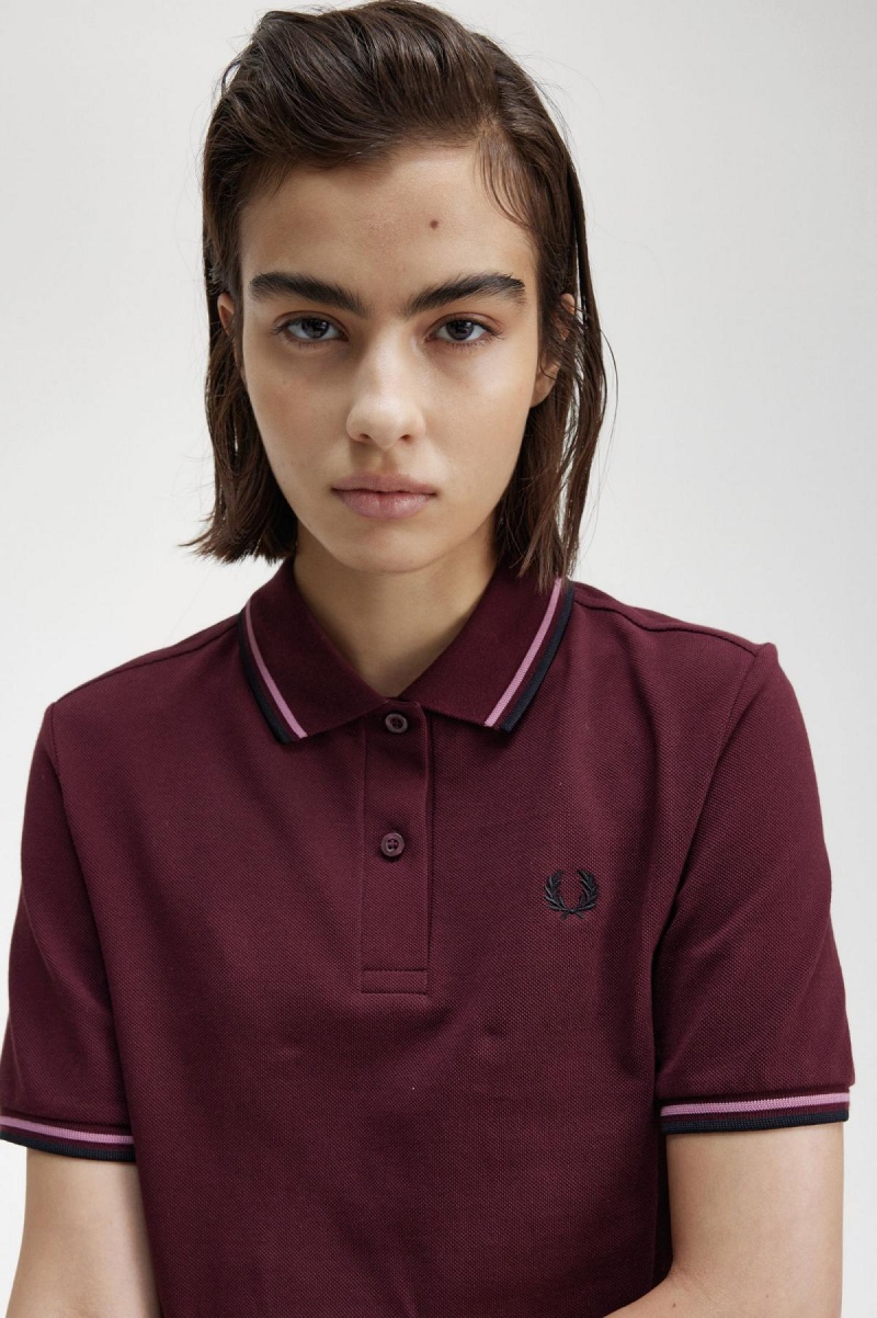 Oxblood / Dusty Rose Pink / Black Fred Perry G3600 Women's Polo Shirts | LCASX25754