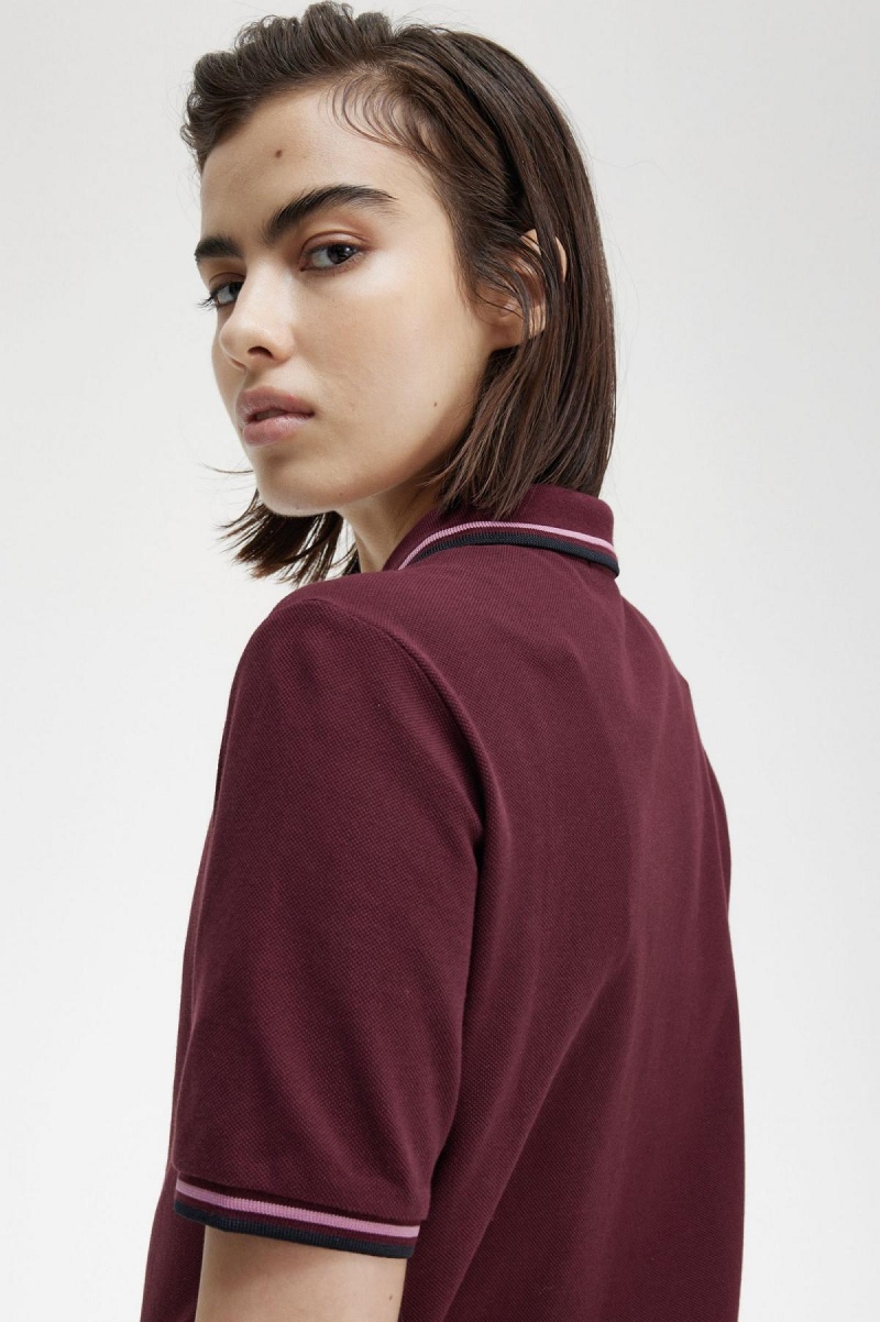 Oxblood / Dusty Rose Pink / Black Fred Perry G3600 Women's Polo Shirts | LCASX25754